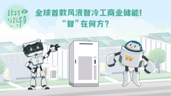 比特与瓦特