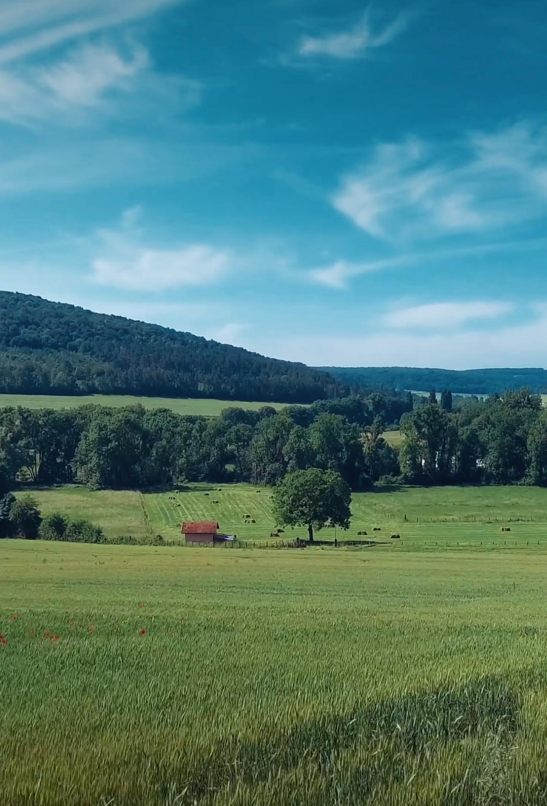 Three Gorges Quyang PV Plant Project in Hebei
