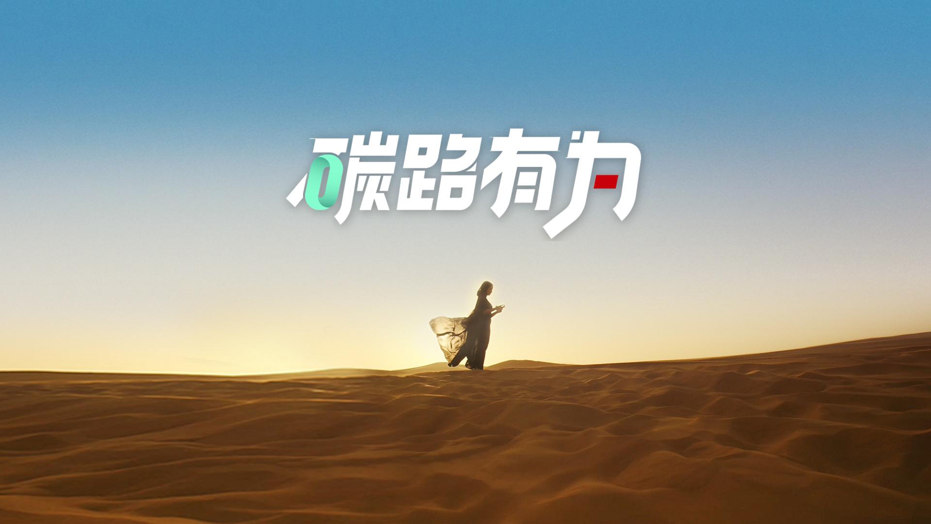 来自沙漠的光伏“情蔬”