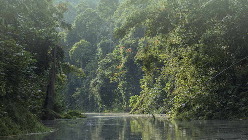拉让江畔的绿色站点之歌