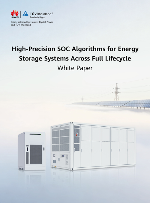 English cover of the white paper