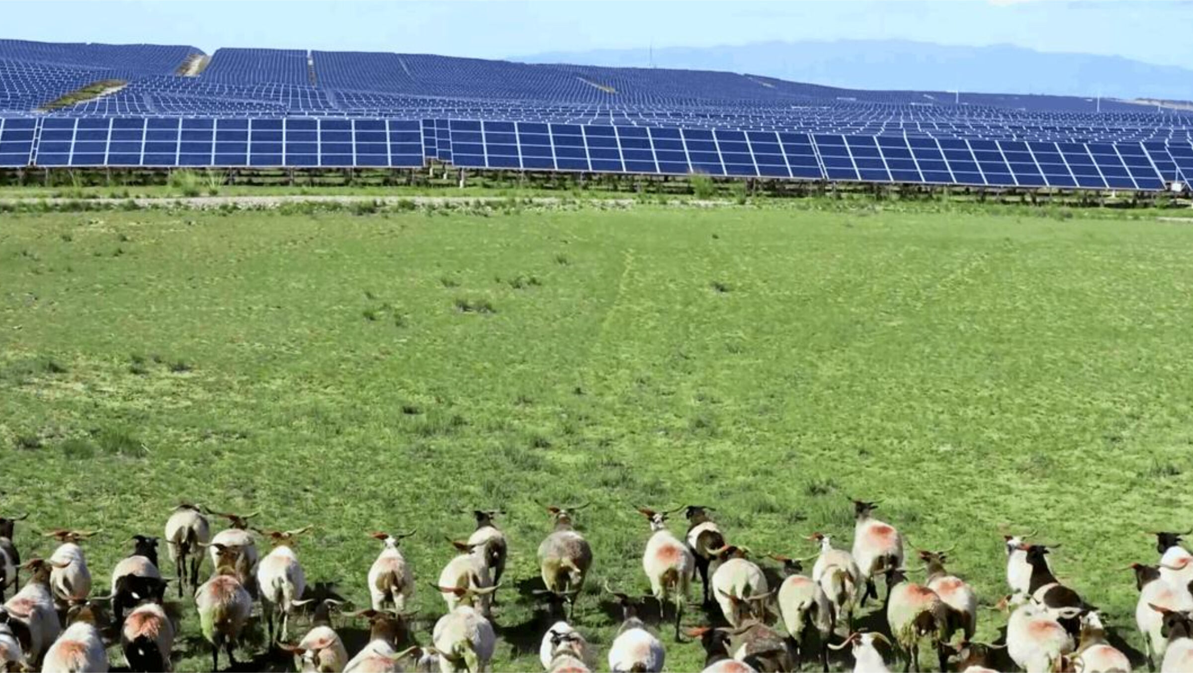 青海共和：全球首条100%输送清洁能源的特高压输电工程，累计故障率控制在0.6‰