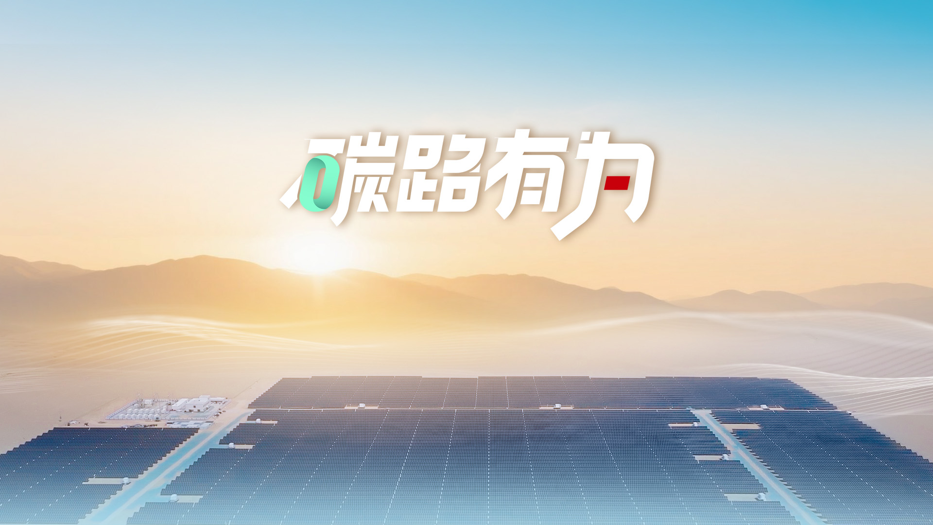来自沙漠的光伏“情蔬”