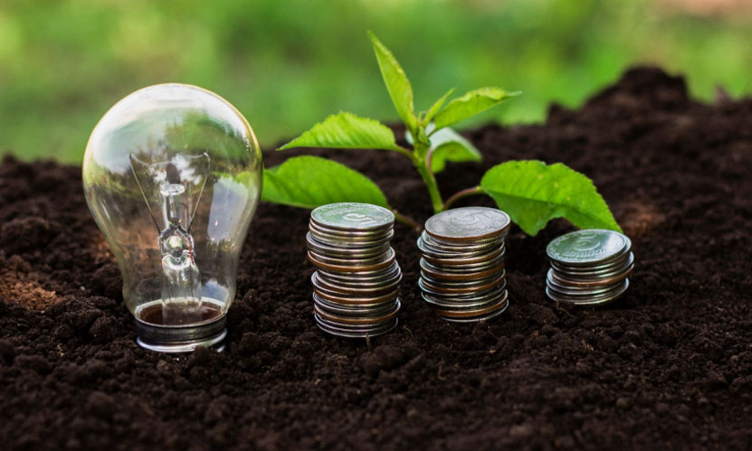 Invest in green energy