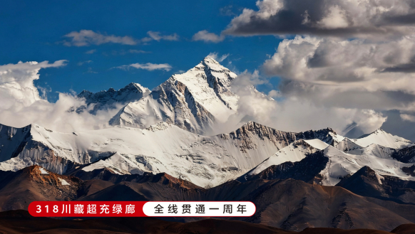 318超充绿廊贯穿一周年