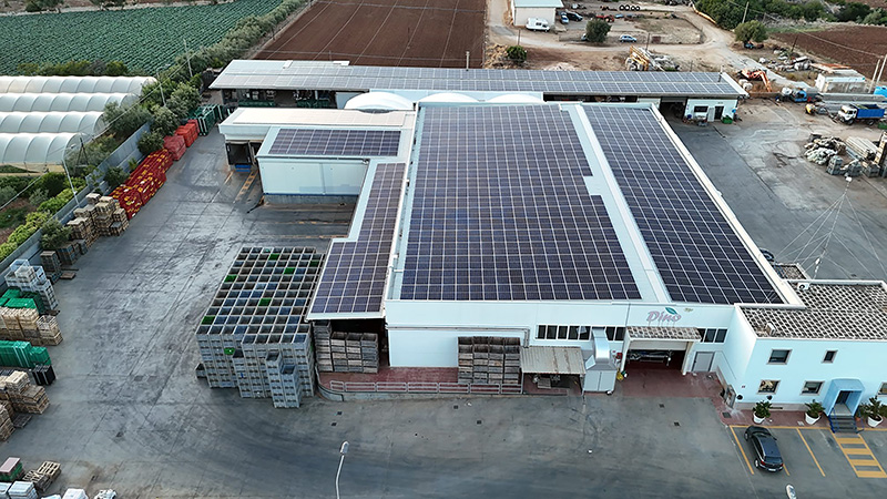 Efficientamento energetico e revamping fotovoltaico con tecnologia Huawei per l’Azienda Ortofrutticola Dino
