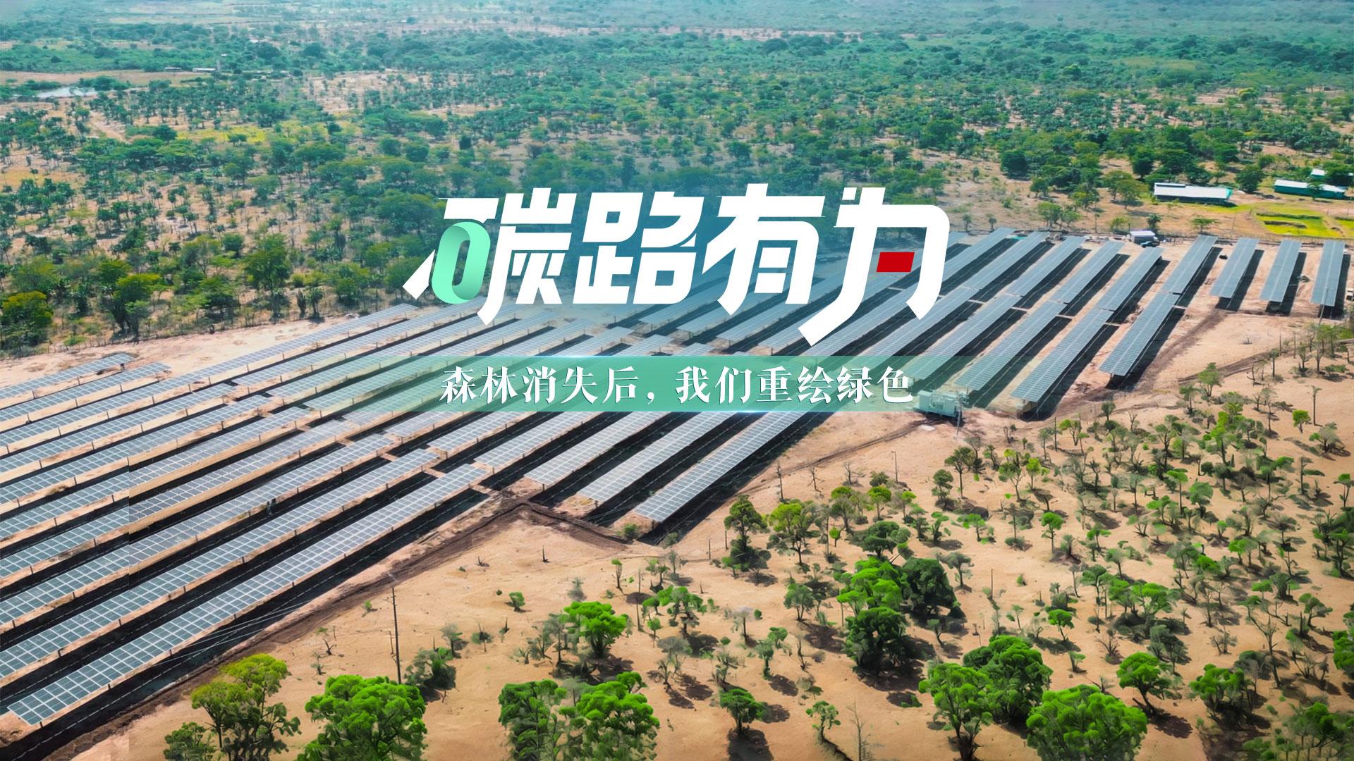 光伏长城跑出治沙加速度