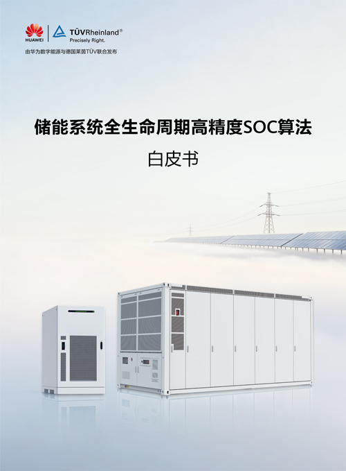 白皮书中文封面