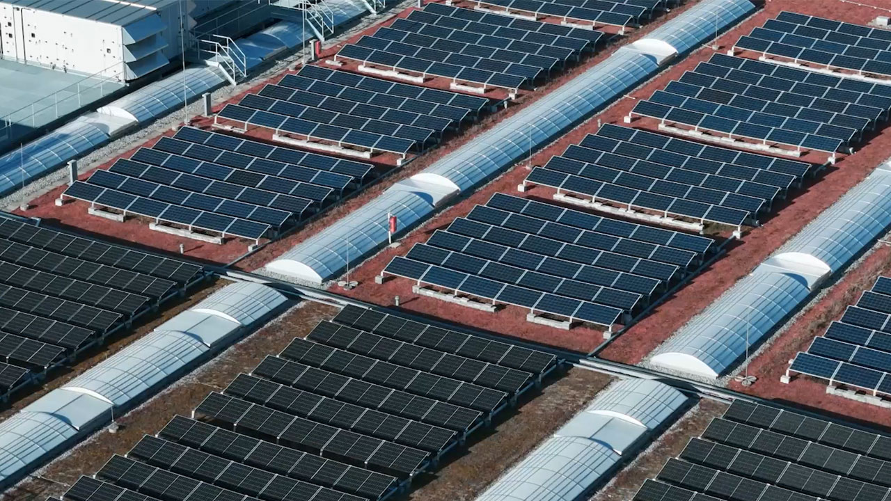 Forging Excellence, Delivering High Value