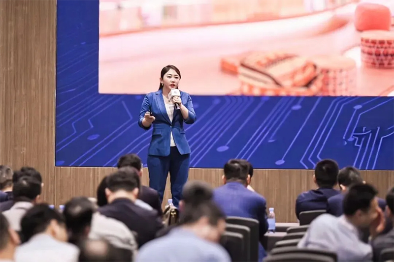 陕西泰尔电力设备有限公司董事长朱蕾