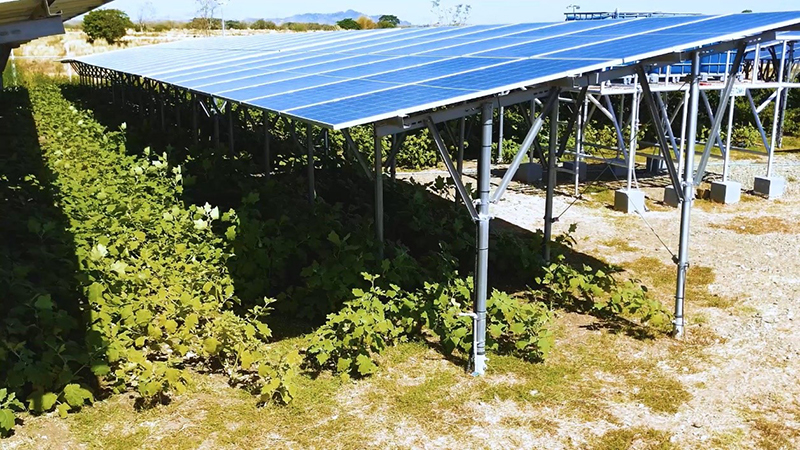Huawei Digital Power committed to smarter, safer, sustainable energy infrastructure