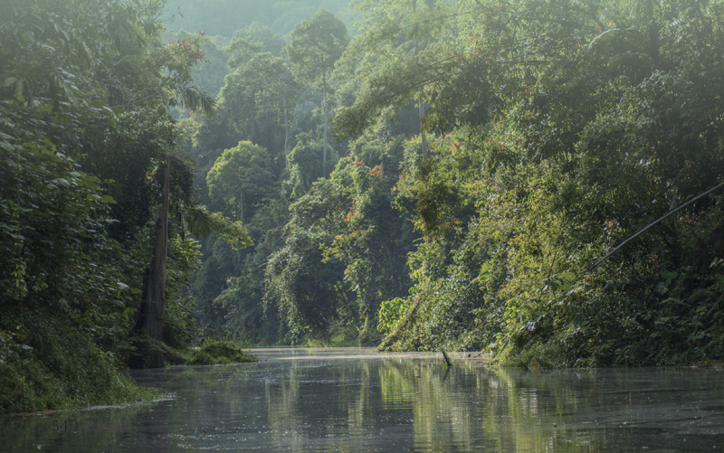 Rajang River in Malaysia