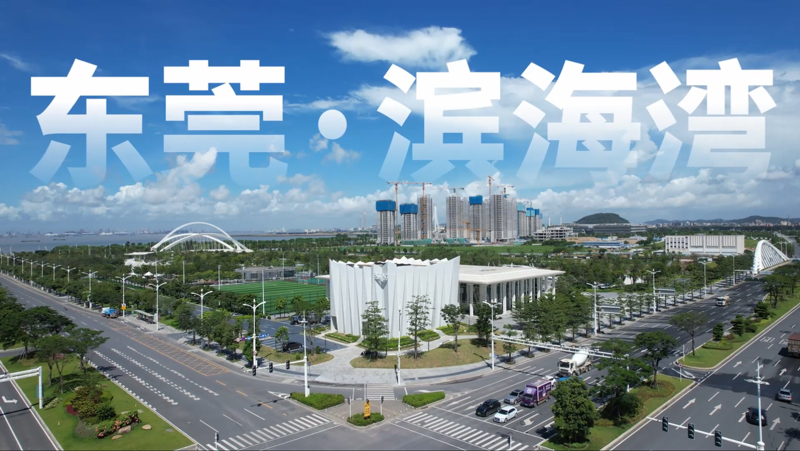 东莞滨海湾新区