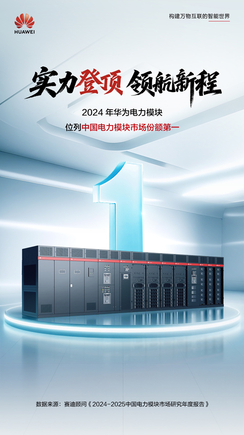 2024年华为电力模块登顶中国电力模块市场份额第一