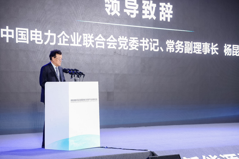 中国电力企业联合会党组书记、常务副理事长杨昆