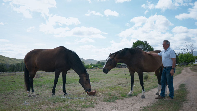 https://www-file.huawei.com/-/media/corp2020/media-center/image/our-value2/horses-video-cover.jpg?la=en