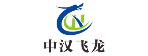 武汉中汉飞龙科技有限公司